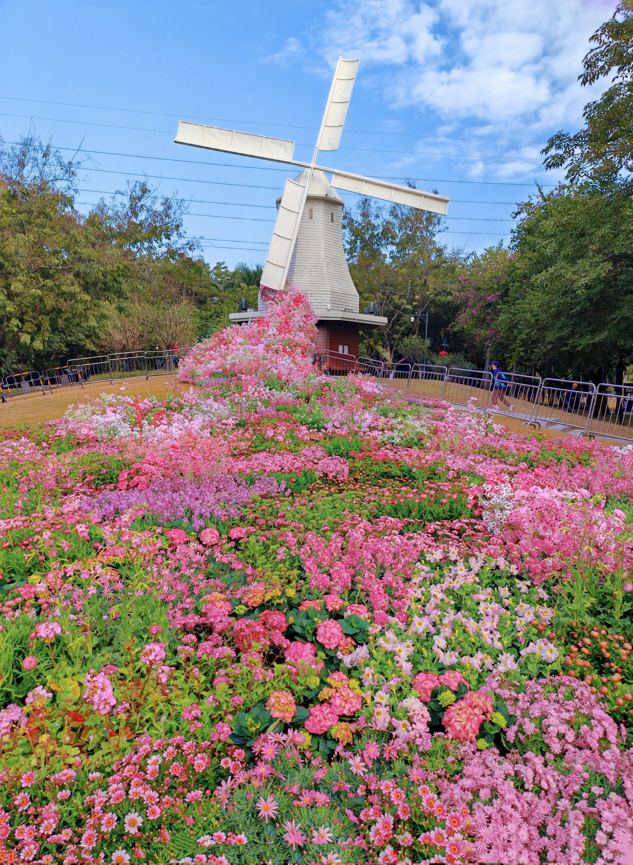 深圳💐莫奈花园即将正式开放
