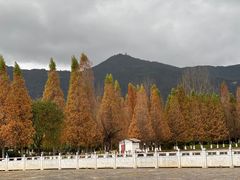 -云南民族村