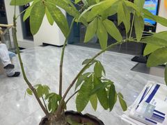 -德元·美联众合24小时动物医院(总院)