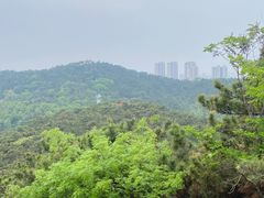-北岭山森林公园