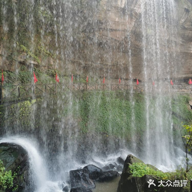 带父母去，结果踩雷哒！