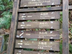 -花岩国家森林公园