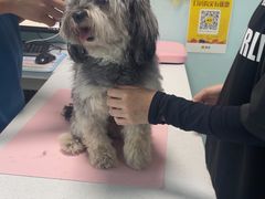 -嘉馨宠物医院·CT影像转诊·心脏科·犬猫全科诊疗中心(下沙大学城院区)
