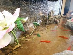 -小天鹅火锅·一线江景洪鼎旗舰店(洪崖洞店)