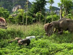 -龙谷湾旅游休闲度假区