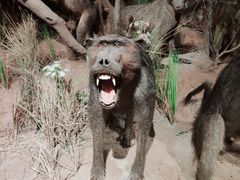 -武汉园博园(武汉自然博物馆)