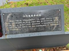 -马王堆汉墓遗址