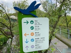 -西湖风景区-江洋畈生态公园