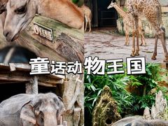 -长鹿旅游休博园