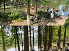 -重庆彩云湖湿地公园