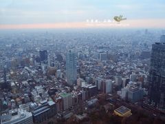 -东京都厅舍