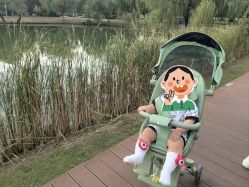 -婴知岛(绿宝广场店)