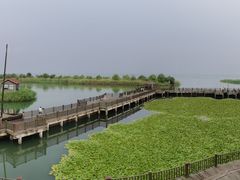 -新木器时代餐厅(太湖新天地店)