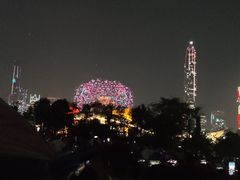 -莲花山公园