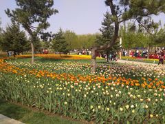 -长春公园(普阳街道)