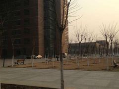 -天津现代职业技术学院