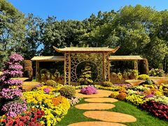 -上海共青森林公园