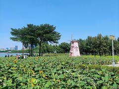 -顺峰山公园