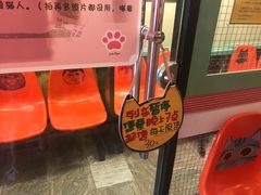 -猫咪博物馆(顶澳仔猫街店)