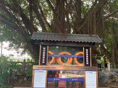 -仓山金山寺