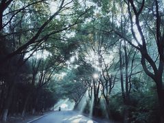 -上海怡沁园度假酒店