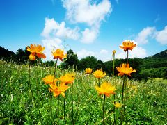 -白草畔自然风景区