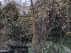 -融汇温泉
