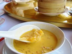 -咖啡苑 - 蔚藍夏日限定主题(永利皇宫店)