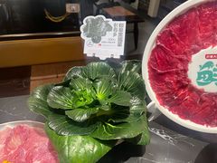 -巴蜀大将火锅(春熙店)