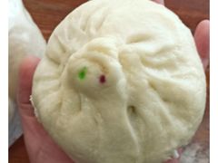 -大邱大包