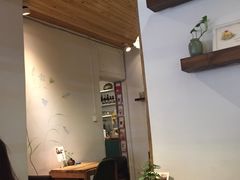 -No Cat 手碟