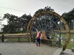 -铁山坪森林公园