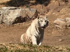 -北京野生动物园