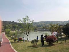 -龙寺生态园