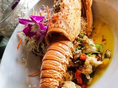 -Onion restaurant