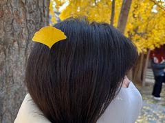 -承恩寺