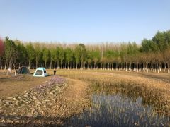 -东郊湿地公园
