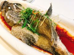 清蒸老虎斑-旺豪海鲜餐厅(友谊阳光城店)