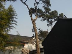 -松江清真寺