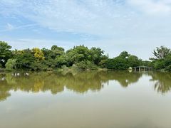 -江心屿景区