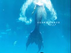 -福州罗源湾海洋世界旅游区