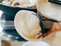 -顺德哥卜卜贝(旗舰店)