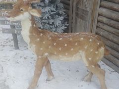 -HERRE·FARM 赫尔露营农场·团建聚会包场