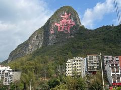 -长寿村