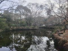 -秋霞圃