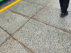 -塞哥维亚输水道