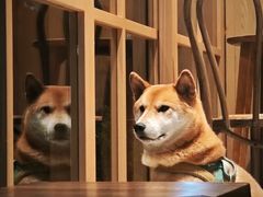 -三目仓咖啡(贤南路店)