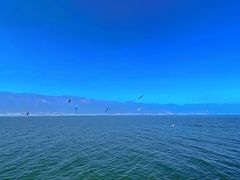 -大理洱海