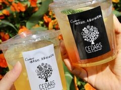 -LESCEDARS Brasserie Bistro香柏树