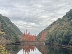 -宁海森林温泉